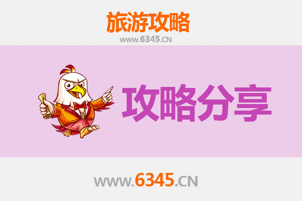 武威凉州旅游攻略：跟团与自由行深度对比